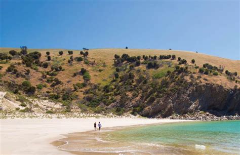 Best Kangaroo Island Caravan Parks & Camping Spots