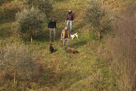 Tuscany Truffle Hunting in Chianti hills | Italian Cooking School