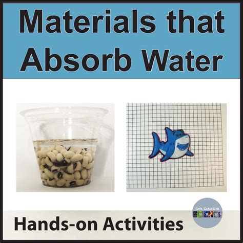 Absorbing Water Activities Will Beans Seeds Absorb Water Grow Sponges ...