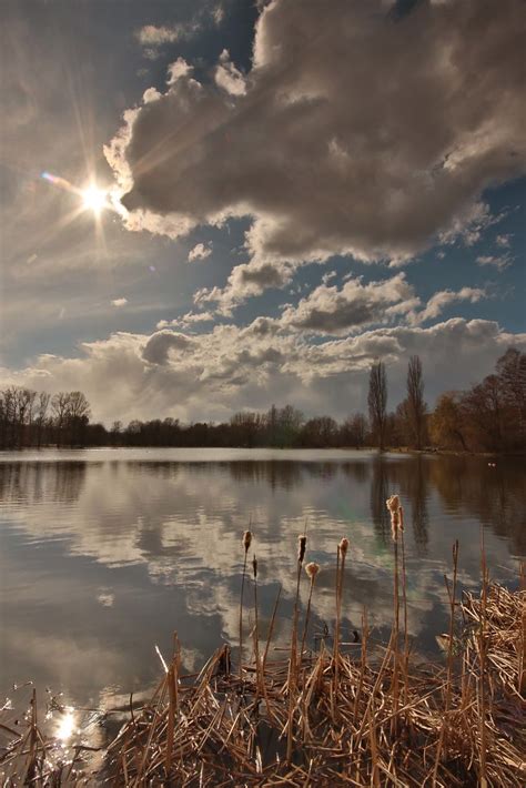 Am Steinertsee C Frank Beisheim Naturgucker De Enjoynature Net