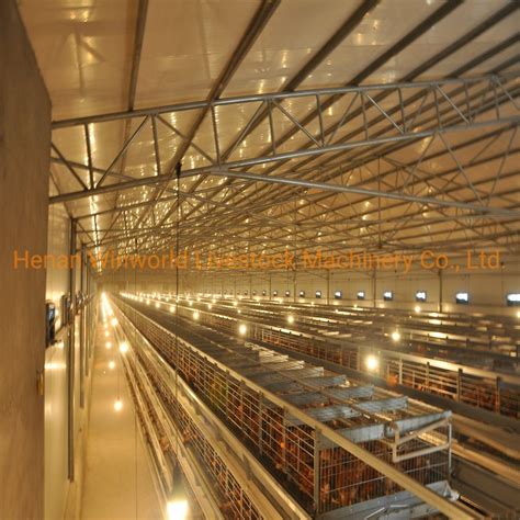 H Type Automatic Poultry Layer Cages Systemgalfan Cage System China