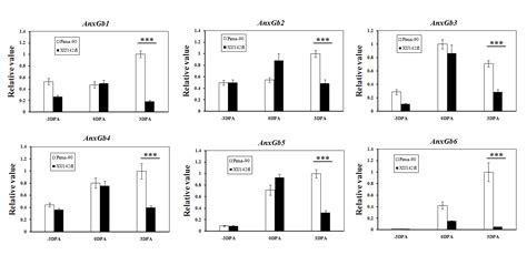 A Cotton Annexin Protein AnxGb6 Regulates Fiber Elongation Through Its