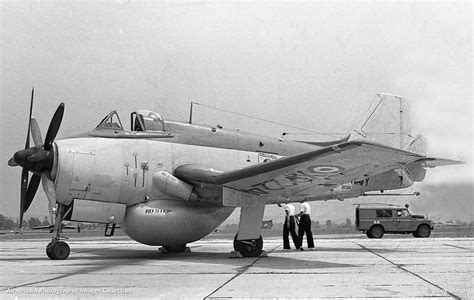 Fairey Gannet Aew Xp F Royal Navy Abpic