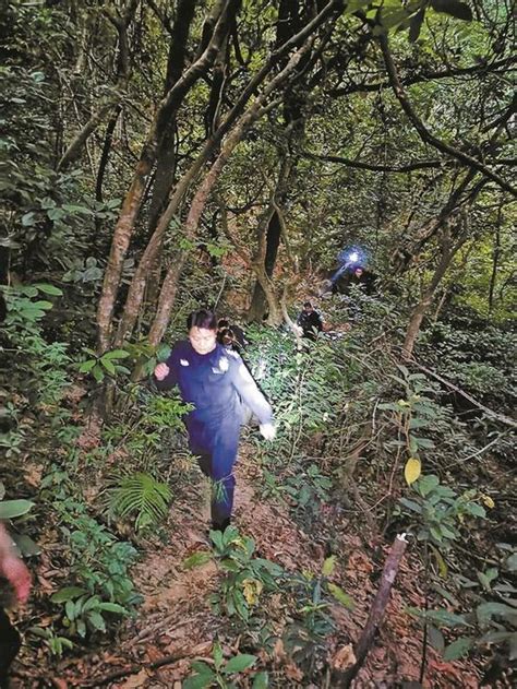 游客抄小路登梧桐山迷路获救 登山时应按游客指示牌走手机新浪网