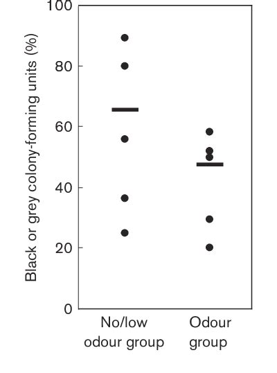 Figure 2 From Hydrogen Sulfide Producing Bacteria In Tongue Biofilm And