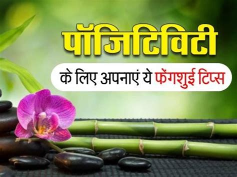 Feng Shui Increase The Positivity Of Your Home With 5 Special Tips फेंगशुई इन खास टिप्स से