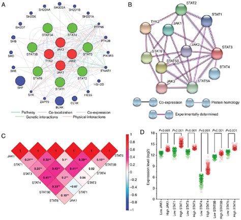 Correlation And Association Analysis For JAK And STAT Genes In SKCM A