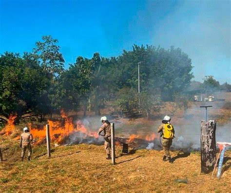 Operação Aceiro 60 bombeiros serão enviados a 12 municípios para