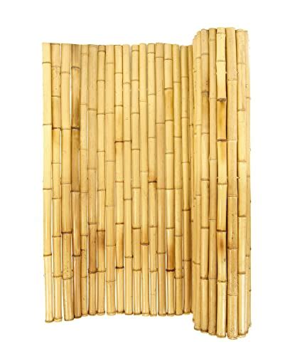 Best Bamboo Fencing For Your Outdoor Space