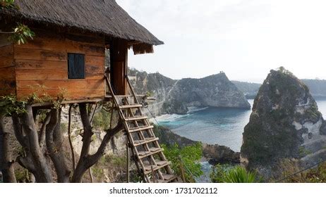 Rumah Pohon Treehouse On Nusa Penida Stock Photo Shutterstock