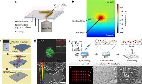 Direct Laser Writing On Halide Perovskites From Mechanisms To Applications