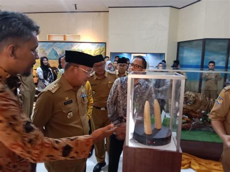 Museum Negeri Bengkulu Gelar Pameran Senjata Tradisional Ada Senjata