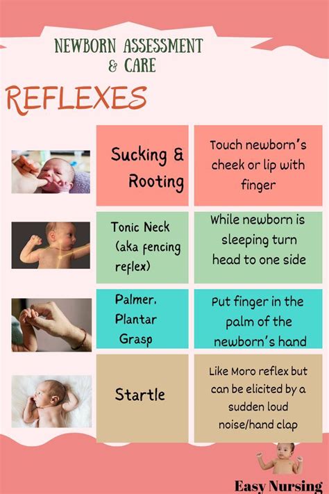 Newborn Reflexes Nursing School Artofit