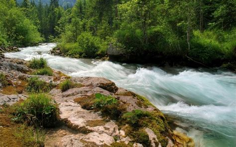 Landscape Forest Waterfall River Valley Wilderness Stream