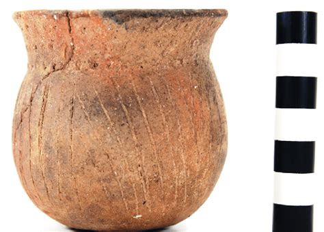 Punctated Incised Jar From The C D Marsh Site Burial 1 Download