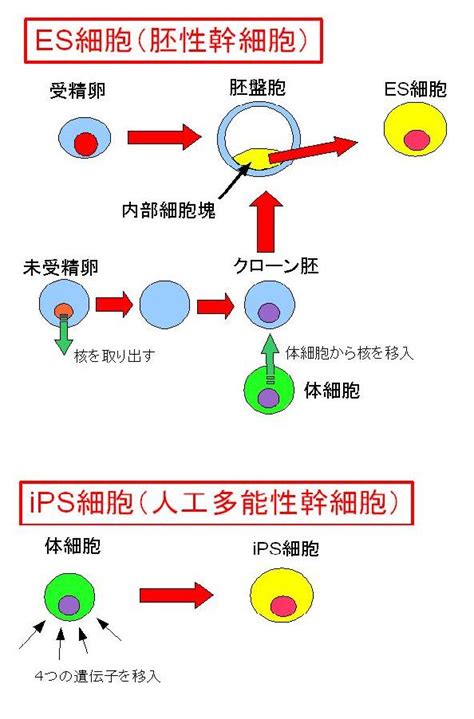 クリニック通信2008年4月