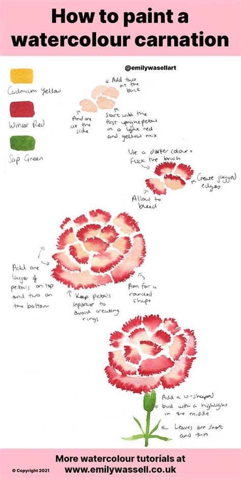 How To Paint A Watercolour Carnation