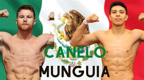 Canelo Álvarez Niega Una Vez MÁs Oportunidad De Pelear Ante Jaime MunguÍa El Virus Del Boxeo