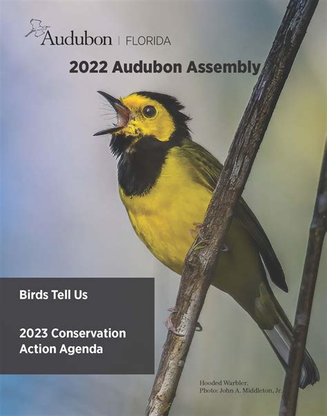 Read Audubon Floridas 2023 Conservation Action Agenda Audubon Florida