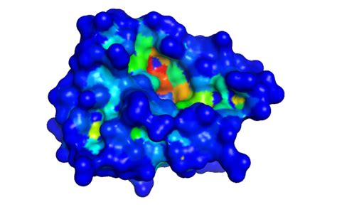 Cb Dock2 An Accurate Protein Ligand Blind Docking Tool