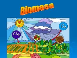 Biomasa Joffre Ppt Descarga Gratuita