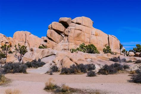 Monta A De Boulders Con Rboles De Joshua En El Parque Nacional Del