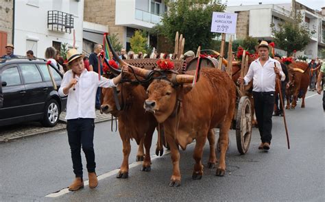 Festa Do Agricultor De Ferment Es Tradi Es Que Ligam A Hist Ria