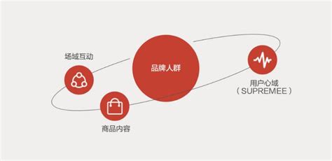 《京准通营销科学白皮书》发布，探索品牌心域建设增长京准通营销科学白皮书京东心智新浪新闻