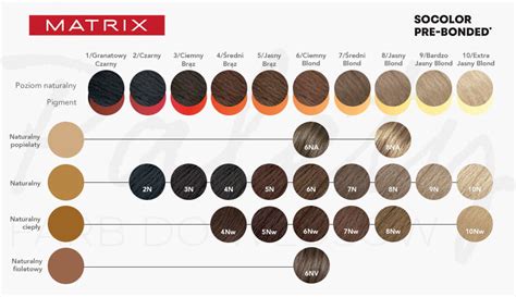 Matrix Hair Color Wheel Matrix Socolor Chart Matrix Hair 59 OFF