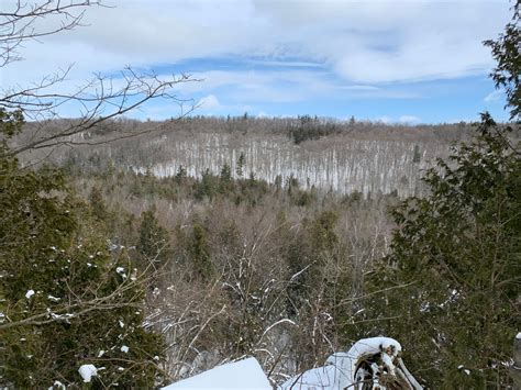 Crawford Lake Trails | Hiking the GTA