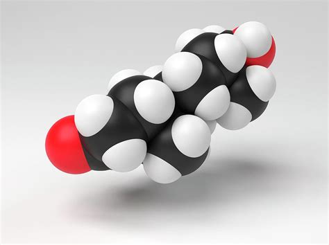 Testosterone Hormone Molecule Photograph by Indigo Molecular Images ...