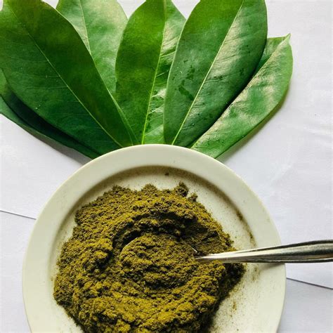 100 Organic Dried Soursop Leaves Powder Guanabana Graviola Annona Muricata Guayabano Etsy