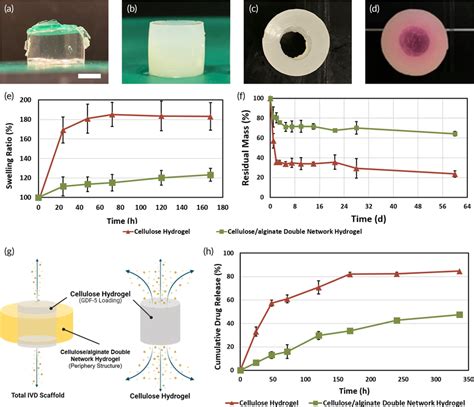 Fabrication And Characterization Of DN Hydrogel And Total IVD Scaffold