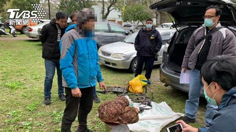 山老鼠盜伐裝登山客！「因這物」露餡 12人集團遭滅│苗栗│新竹│觀霧│tvbs新聞網