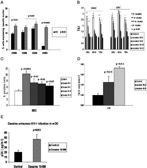 A Constitutive Basal Expression Of Costimulatory Molecules On Mdc And