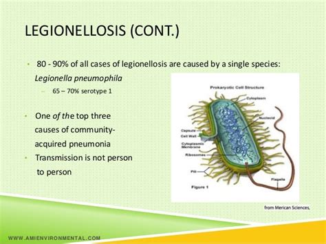 Legionella Ashrae Standard 188