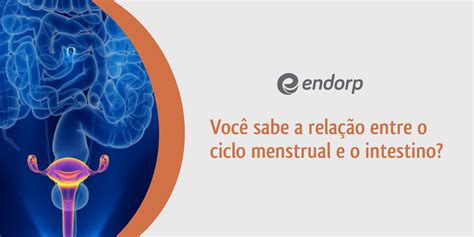 Menstruação E Intestino Solto - Você sabe a relação entre o ciclo menstrual e o intestino? – Endorp