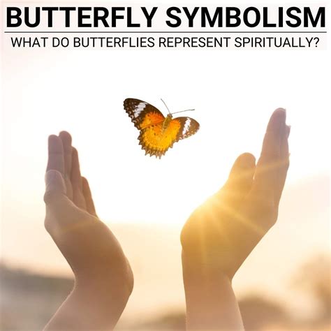 Unlocking The Magic Of Butterfly Symbolism And Spirituality