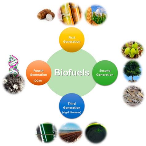 Agronomy Free Full Text Consolidated Bioprocessing An Innovative