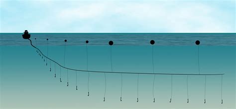 Predicting The Distribution Of The High Seas Longline Fleet Global