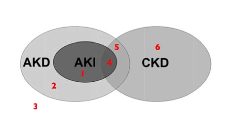 Classification Kdigo De L Insuffisance R Nale Comprendre Les Mises