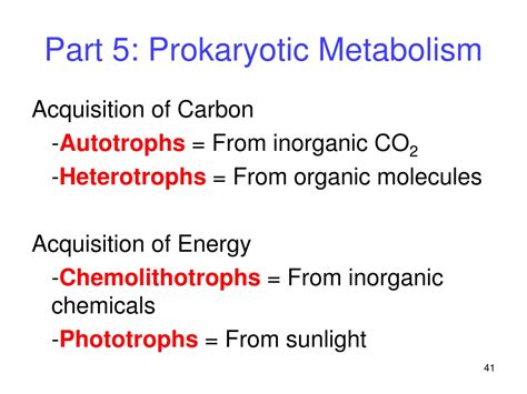 Ppt Prokaryotes Powerpoint Presentation Free Download Id9432178