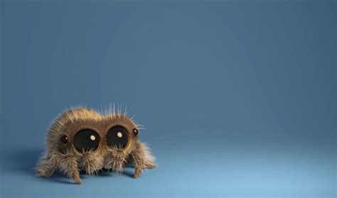 Equal Parts Creepy And Cute, 'Lucas The Spider' Is Weaving Viral ...