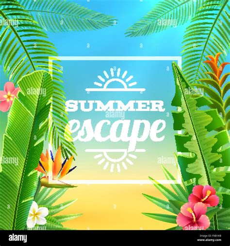 Tropical Plants Background Stock Vector Image & Art - Alamy