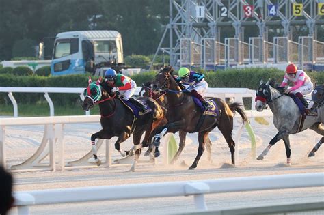 2024ドバイゴールデンシャヒーン 出走馬と展望 競馬つらつら