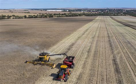 Grdc Grains Review Update Mingenew Irwin