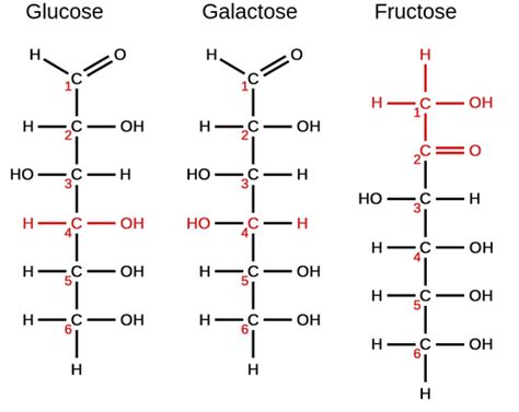 Glucose Fructose Galactose Structure