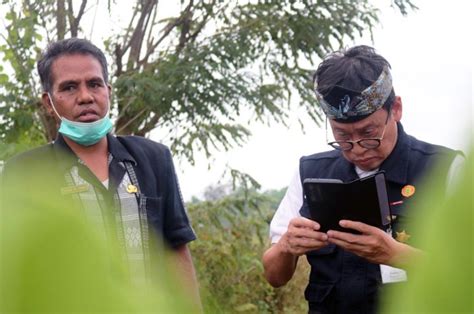 Hasil Melimpah Kementan Ajak Petani Milenial Sumba Manfaatkan Food