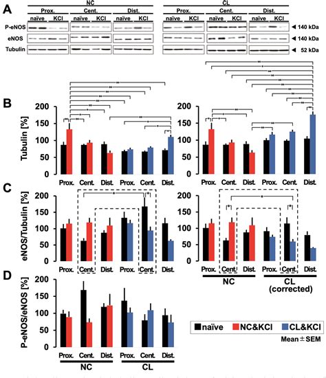 Figure From Focal Brain Cooling Suppresses Spreading Depolarization