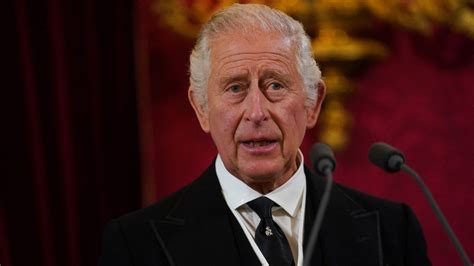 Charles III Quels Sont Les Pouvoirs Et Les Devoirs Du Roi TF1 INFO